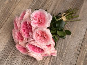 ROSE MAYRA BRIDAL PINK 50